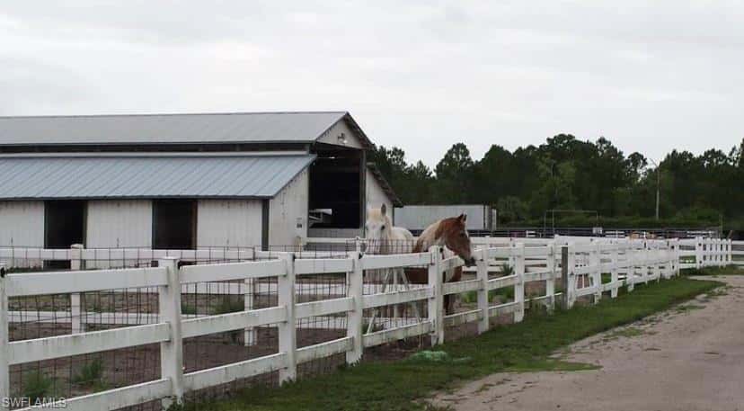 2400 Oil Well Rd, Naples, photo 12