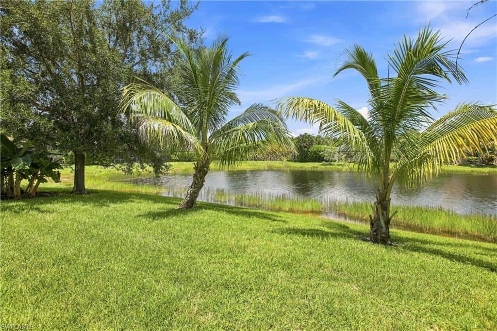 291 Saddlebrook Ln, Naples, photo 32