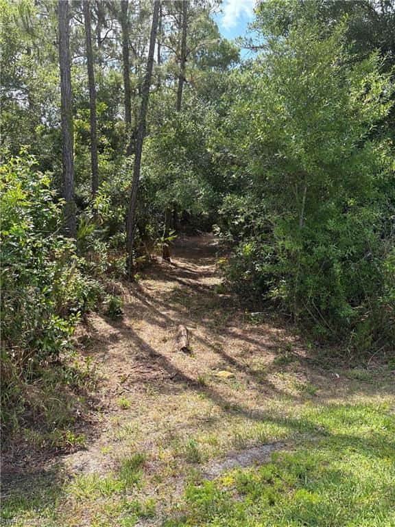 2524 64th Ave, Naples, photo 13