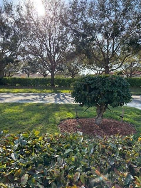 7918 Haven Dr #2, Naples, photo 28