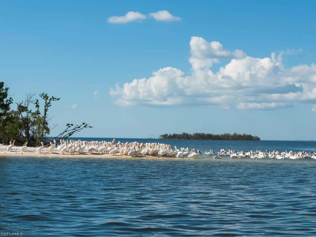 111 Morning Star Cay, Naples, photo 47