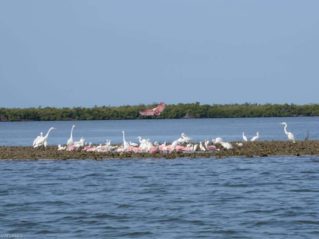 111 Morning Star Cay, Naples, photo 43