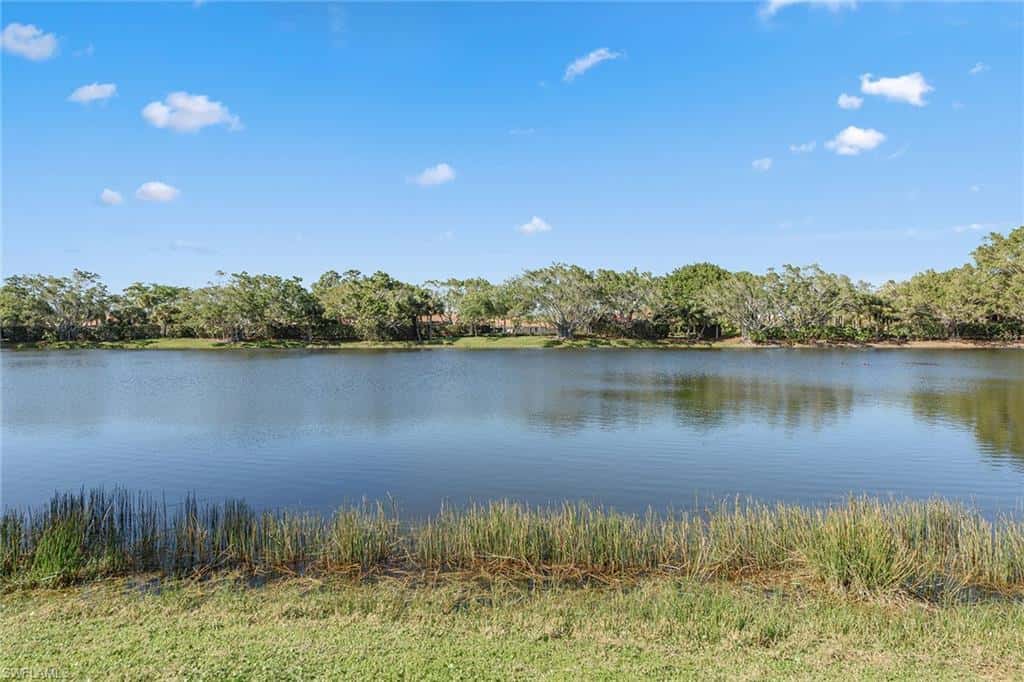 8465 Mallards Way, Naples, photo 26