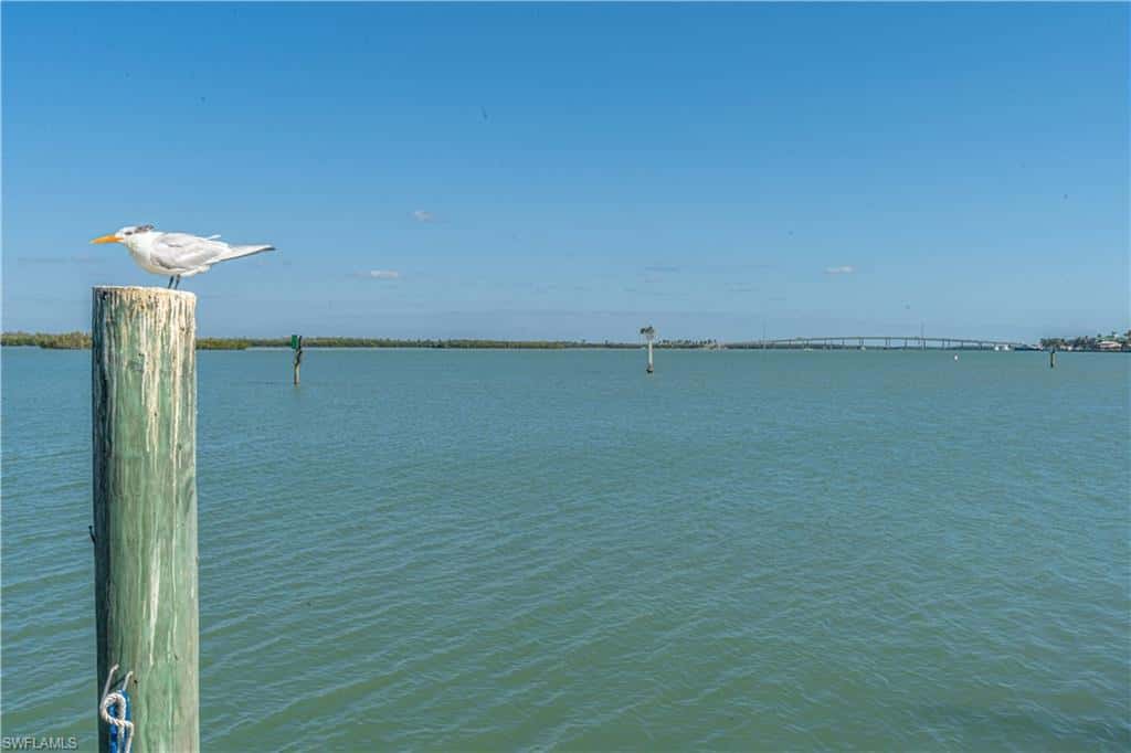 1085 Bald Eagle Dr #e505, Marco Island, photo 43