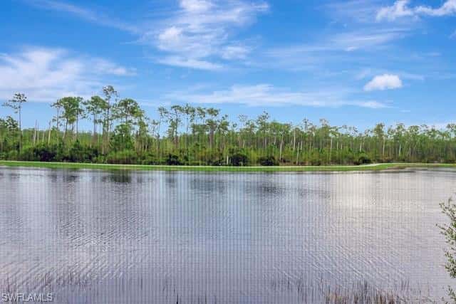9637 Montelanico Loop #203, Naples, photo 12