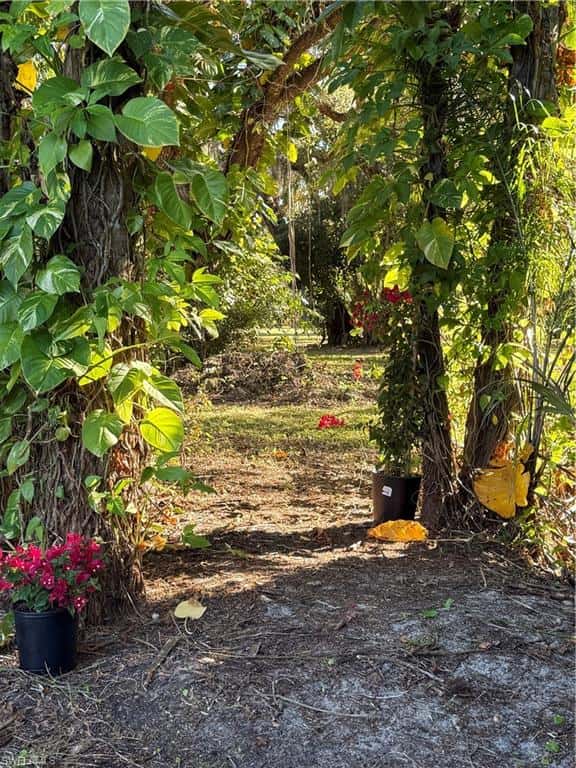 14630 Smokey Hollow Ln, North Fort Myers, photo 43