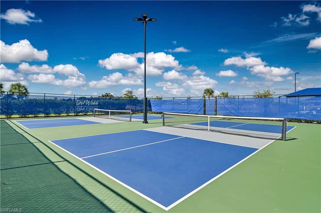 7394 Blue Salvia Dr, North Fort Myers, photo 46
