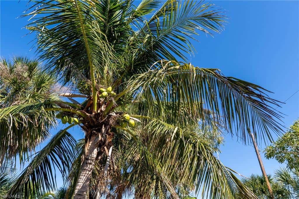 5801 Sanibel Captiva Rd, Sanibel, photo 43