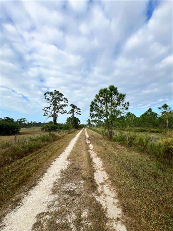 4501 Royal Palm Ranch Dr, St. James City, photo 44