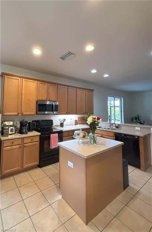 8042 Silver Birch Way, Lehigh Acres, photo 8