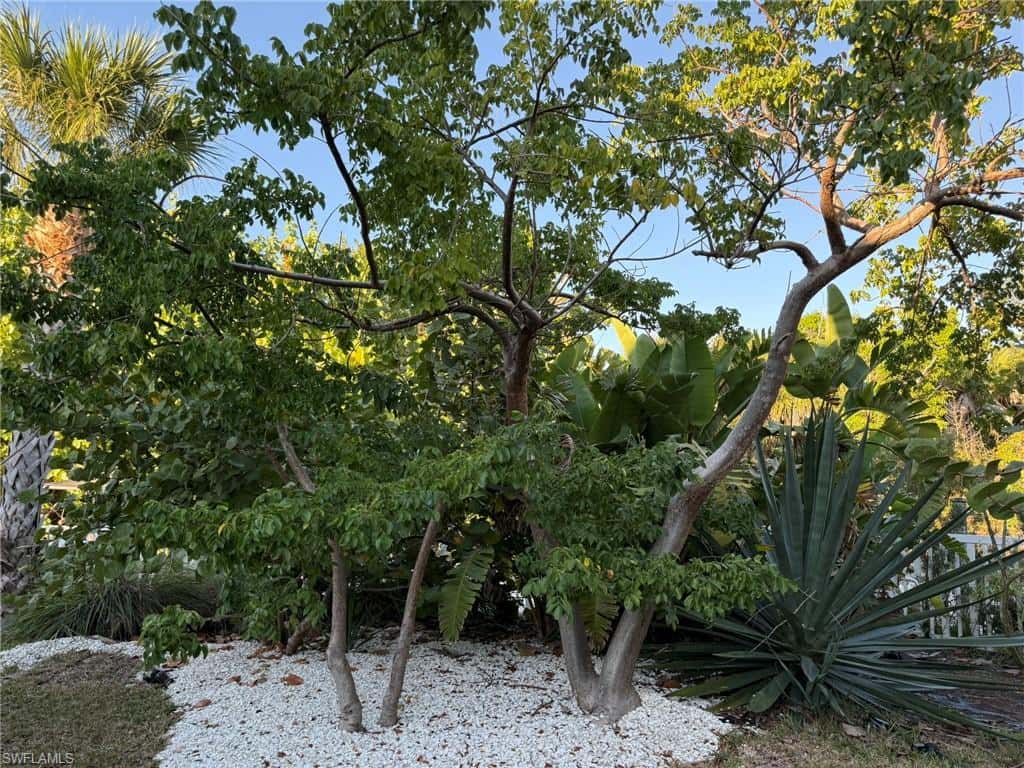 4511 Bartlett Pkwy, Captiva, photo 42