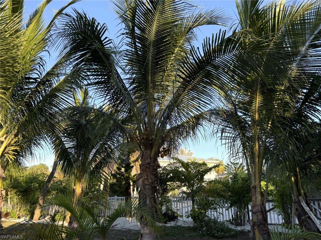 4511 Bartlett Pkwy, Captiva, photo 45