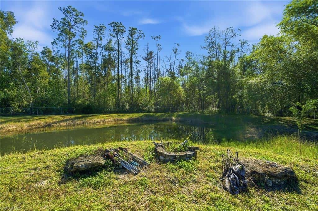 11661 Palomino Ln, Fort Myers, photo 49
