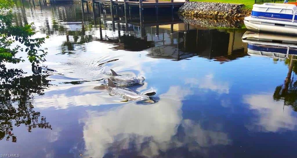 5471 Harborage Dr, Fort Myers, photo 9