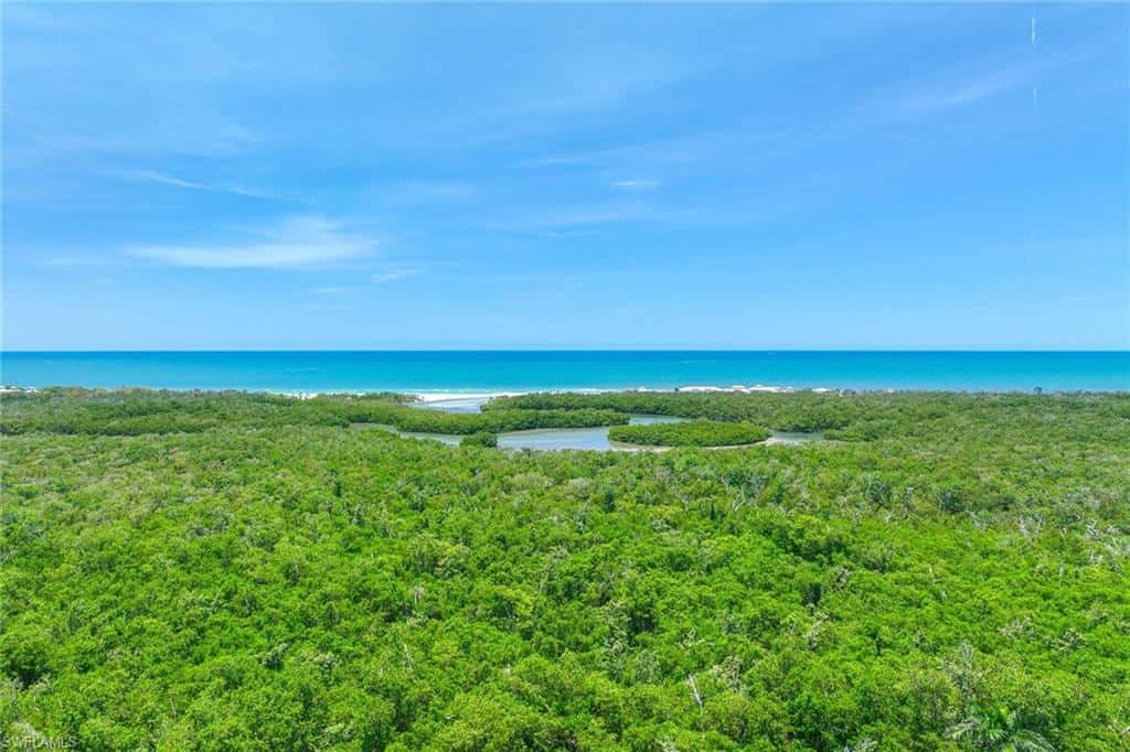 6597 Nicholas Blvd #405, Naples, photo 43