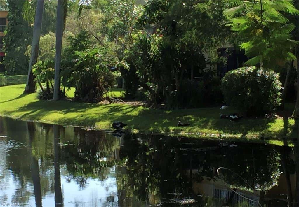 1645 Spoonbill Ln #c, Naples, photo 37