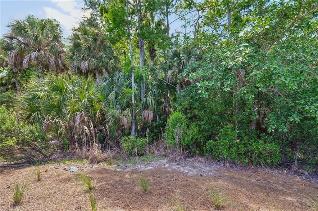 10395 Ventana Ln, Naples, photo 41