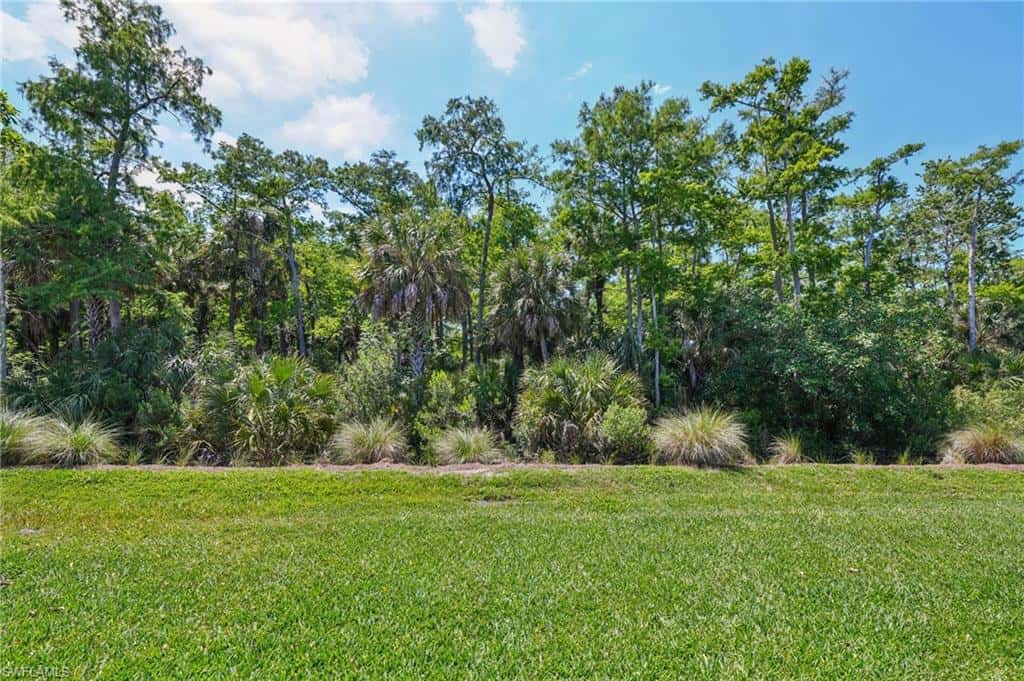 10395 Ventana Ln, Naples, photo 39