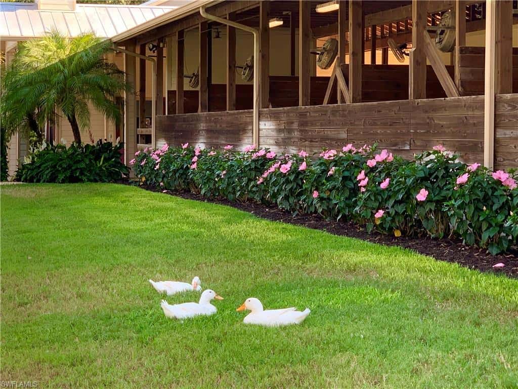 3800 Staley Rd, Fort Myers, photo 47