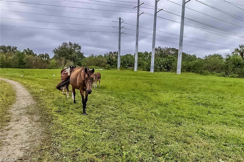 26118 Cutting Horse Ln, Bonita Springs, photo 7