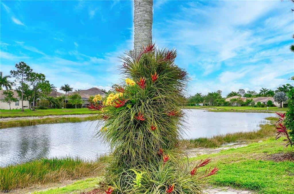 14809 Canton Ct, Naples, photo 34