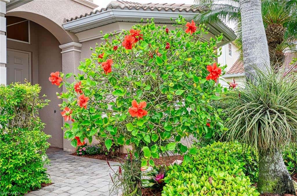 14809 Canton Ct, Naples, photo 40