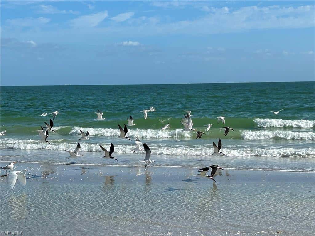 970 Sand Castle Rd, Sanibel, photo 39