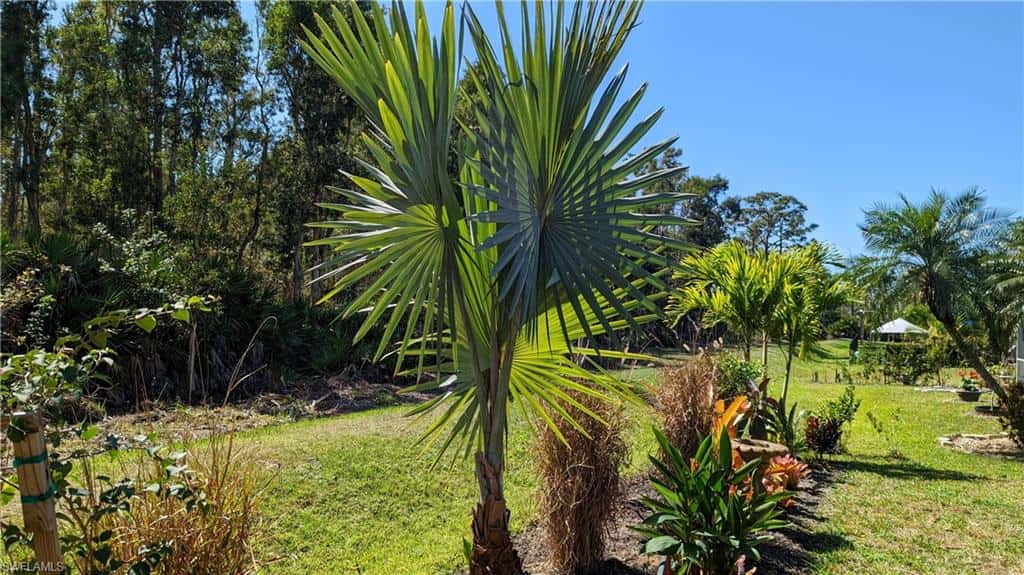 23238 Marsh Landing Blvd, Estero, photo 9