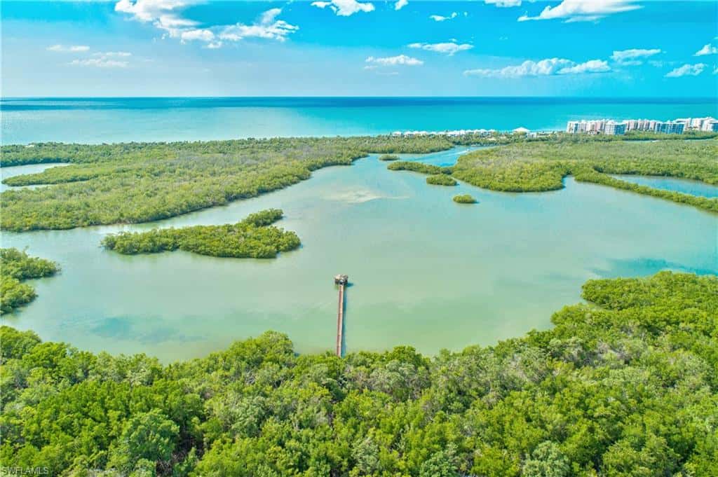 15475 Cedarwood Ln #203, Naples, photo 40