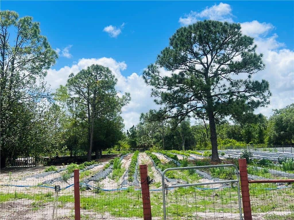 155 Evans Rd, Labelle, photo 19