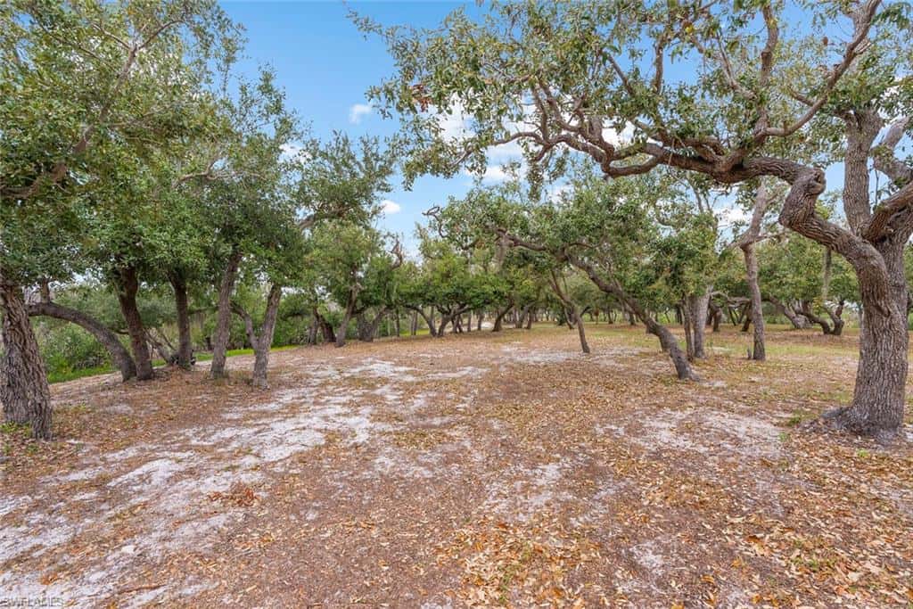 X Burgess Island, Bokeelia, photo 46