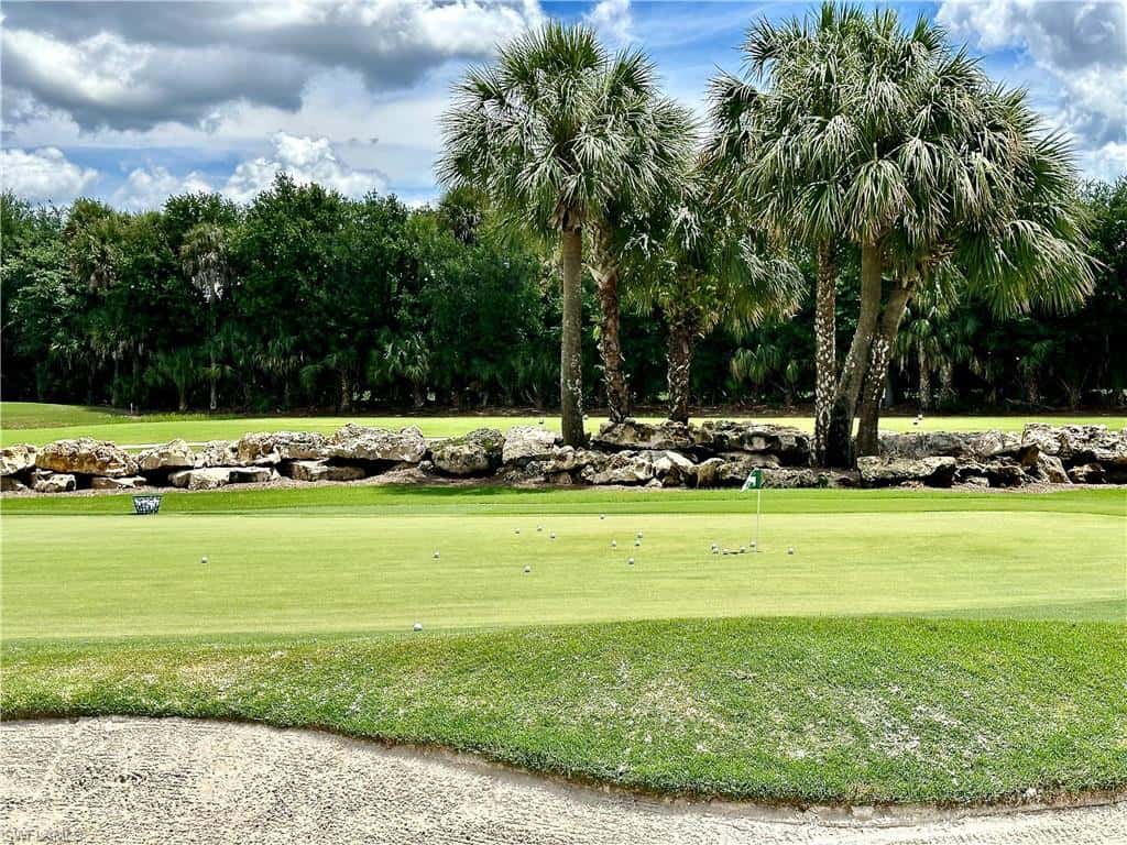 12654 Buttonbush Pl, Bonita Springs, photo 45