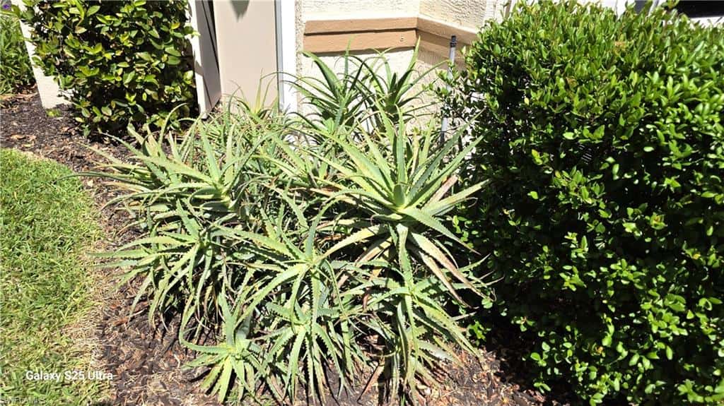 9060 Palmas Grandes Blvd #106, Bonita Springs, photo 11