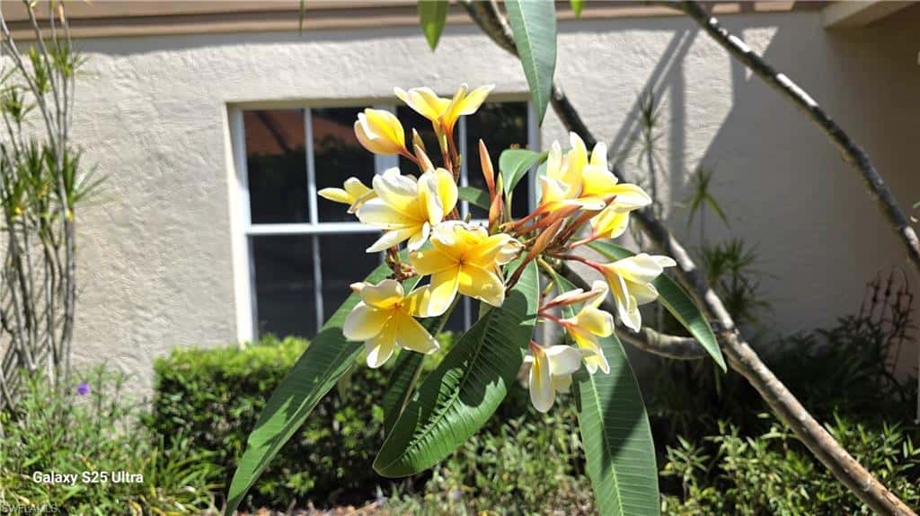 9060 Palmas Grandes Blvd #106, Bonita Springs, photo 8