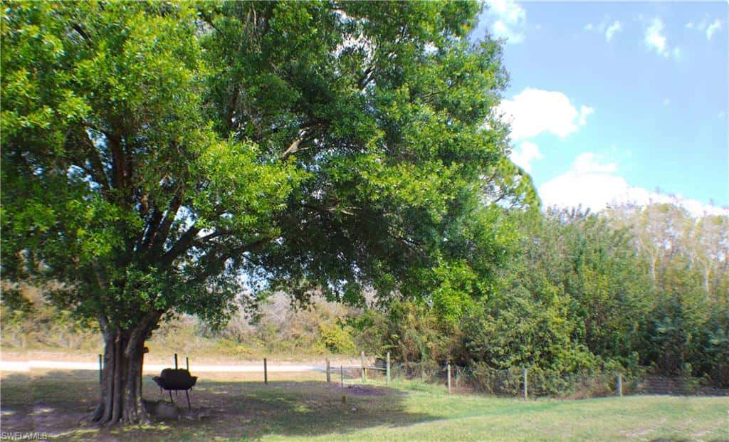 548 Bald Cypress Ave, Clewiston, photo 37