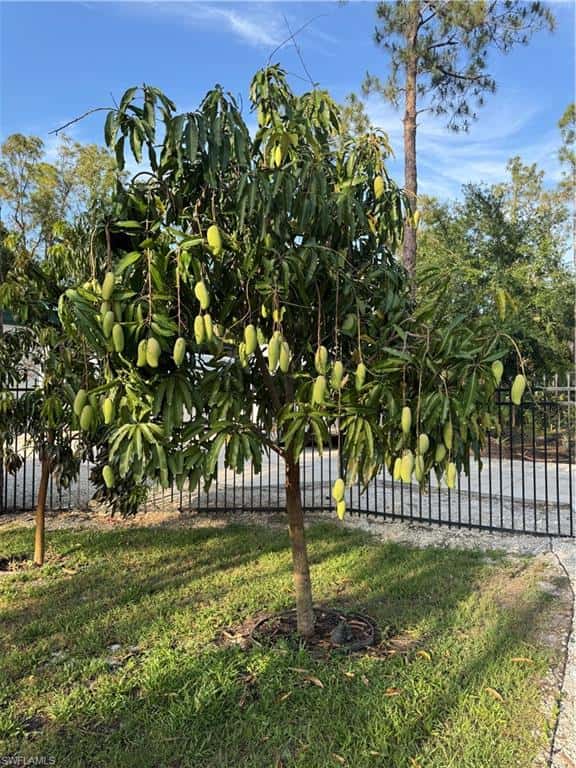 3159 6th Ave, Naples, photo 49