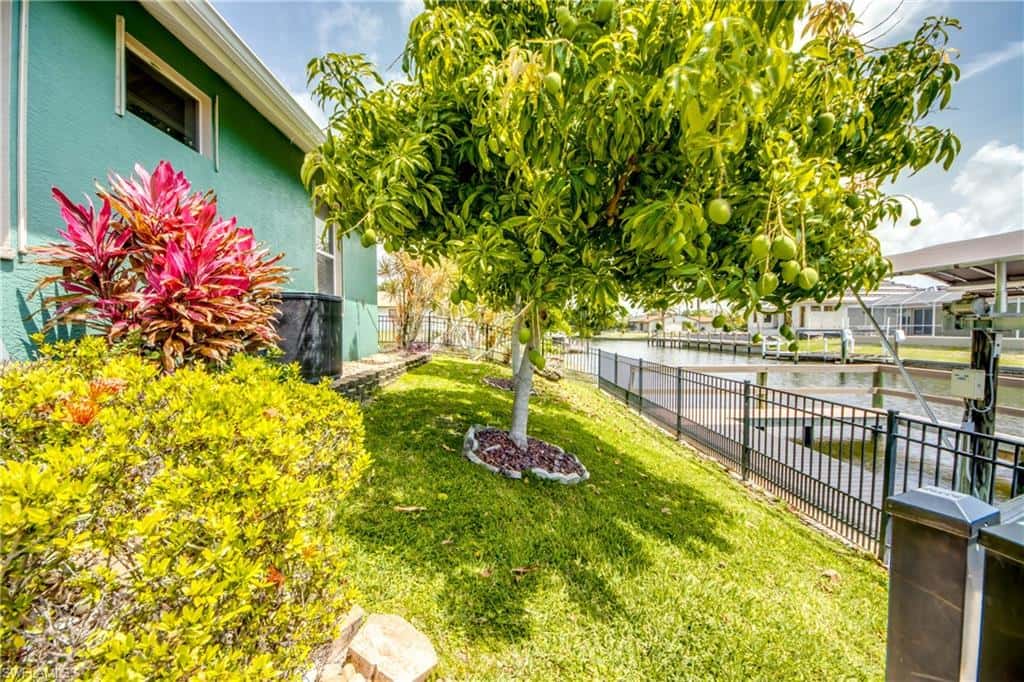 4203 Pelican Blvd, Cape Coral, photo 40
