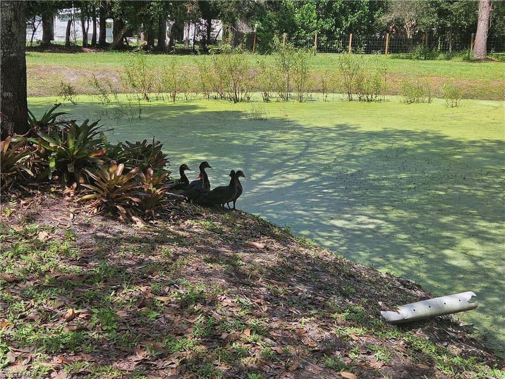 17021 Shelby Ln, North Fort Myers, photo 6