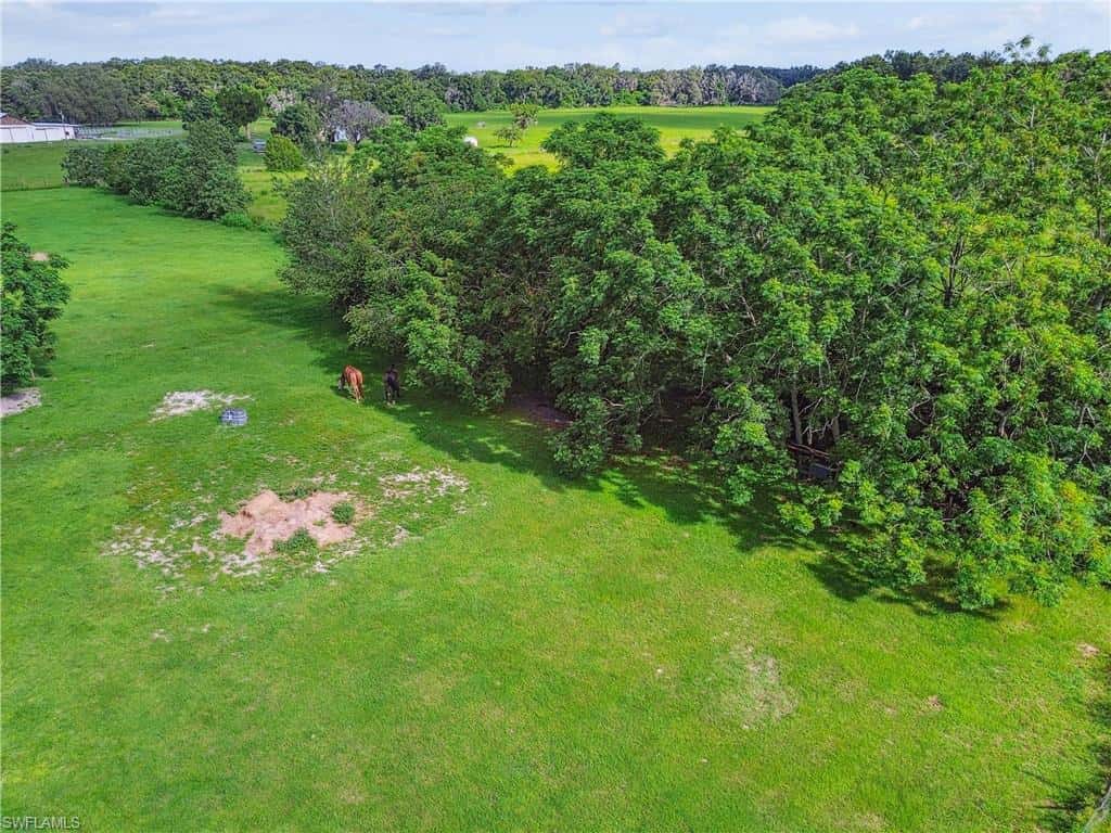 18139 Benes Roush Rd, Brooksville, photo 23