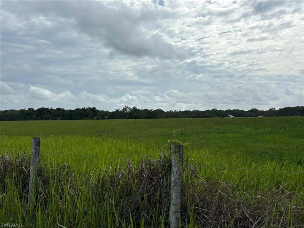 18139 Benes Roush Rd, Brooksville, photo 13