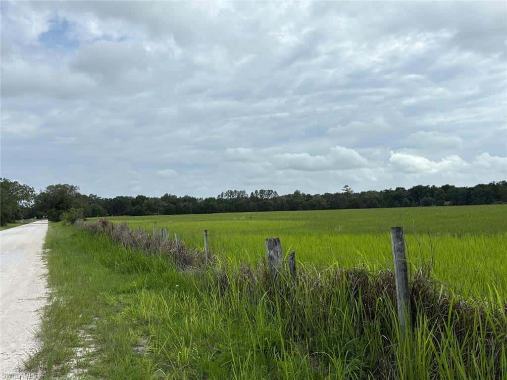 18139 Benes Roush Rd, Brooksville, photo 12