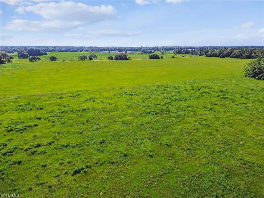 18139 Benes Roush Rd, Brooksville, photo 28