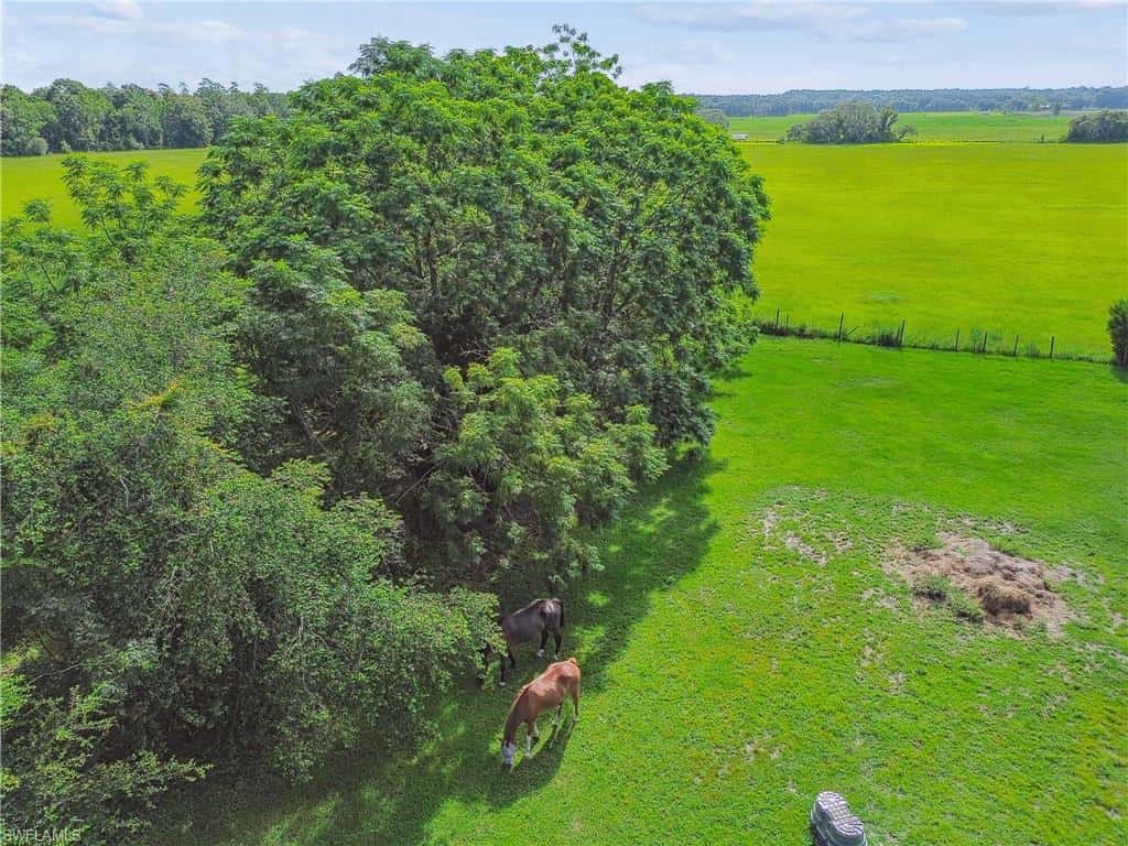 18139 Benes Roush Rd, Brooksville, photo 24