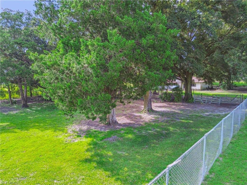 18139 Benes Roush Rd, Brooksville, photo 8