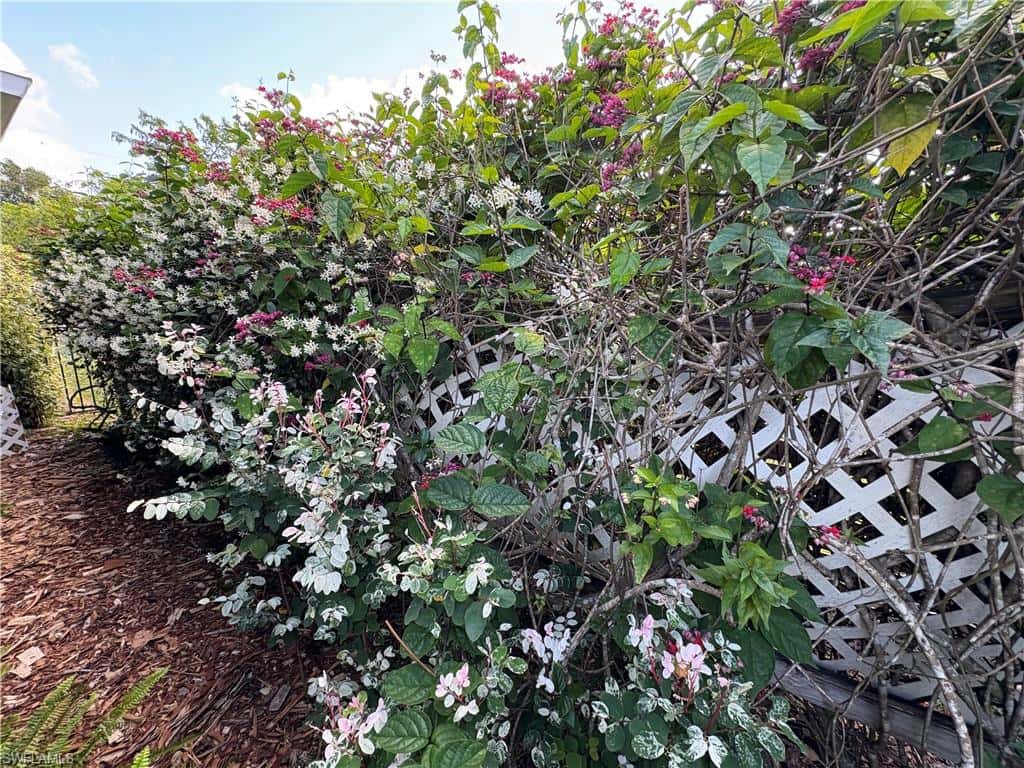 5232 Raintree Ln, Naples, photo 25