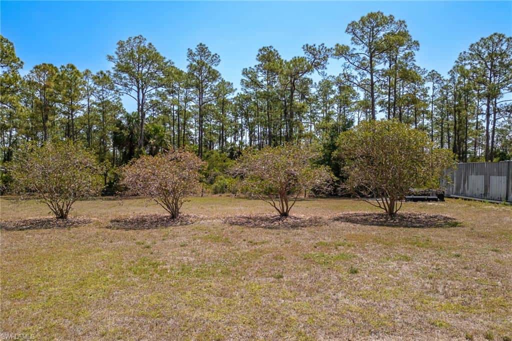 1083 Pollywog Dr, Labelle, photo 34