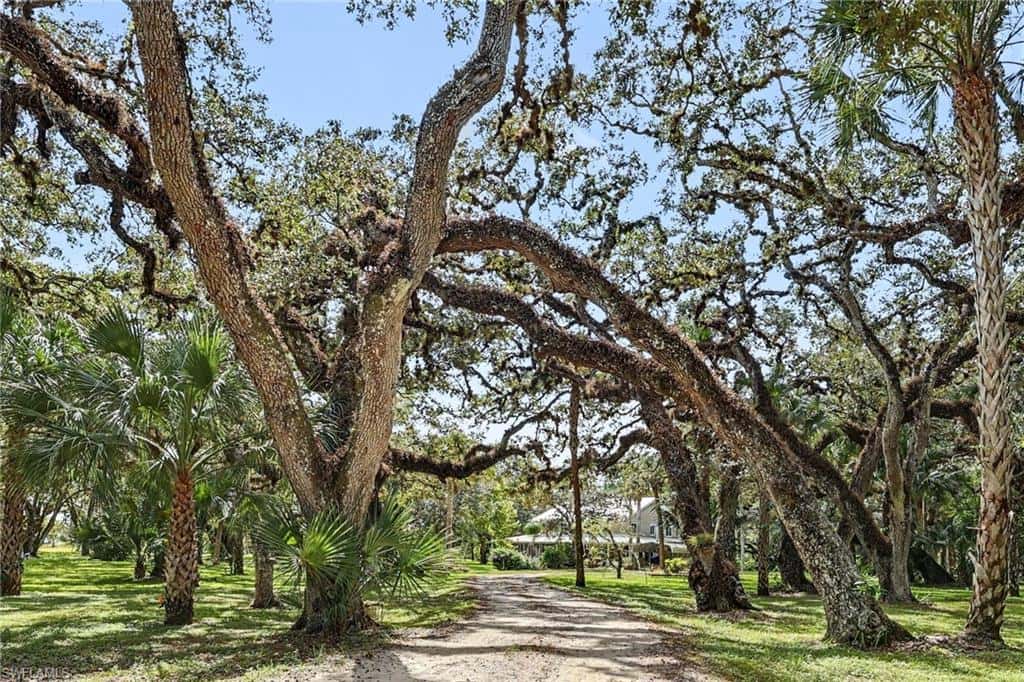 3079 Frontier Cir, Labelle, photo 28