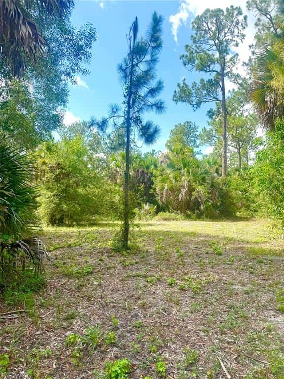 2910 6th Ave, Naples, photo 23