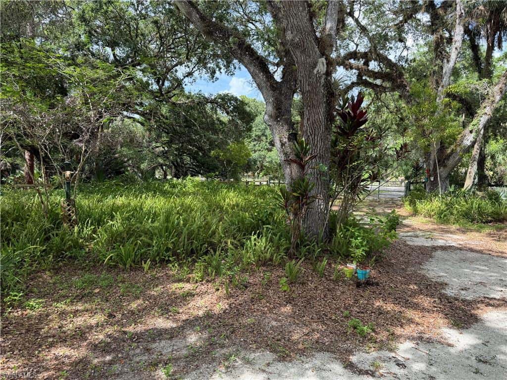 18251 Persimmon Ridge Rd, Alva, photo 10