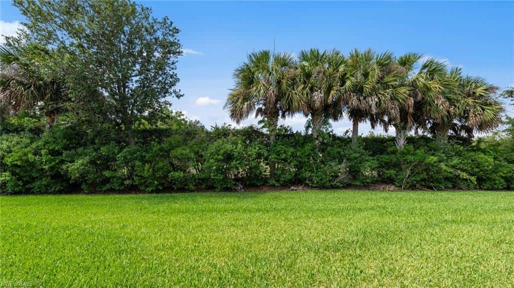 11544 Verandah Palm Ct, Fort Myers, photo 33